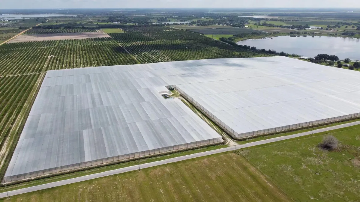 Rolls of agricultural netting: shade, insect and hail protection